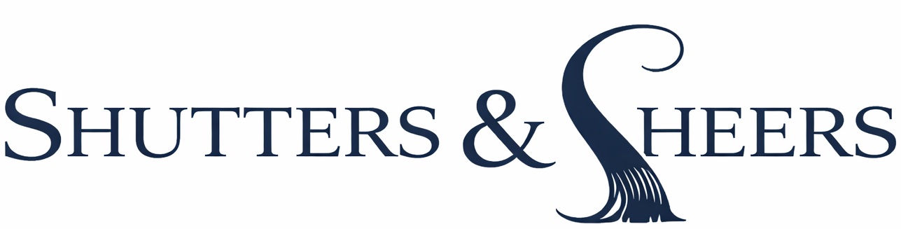 BlinQ client logo |  Logo